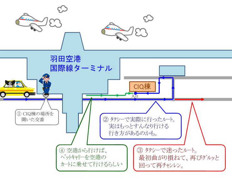 羽田 空港 検疫 問い合わせ